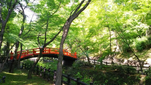 北野天満宮 史跡御土居の青もみじ
