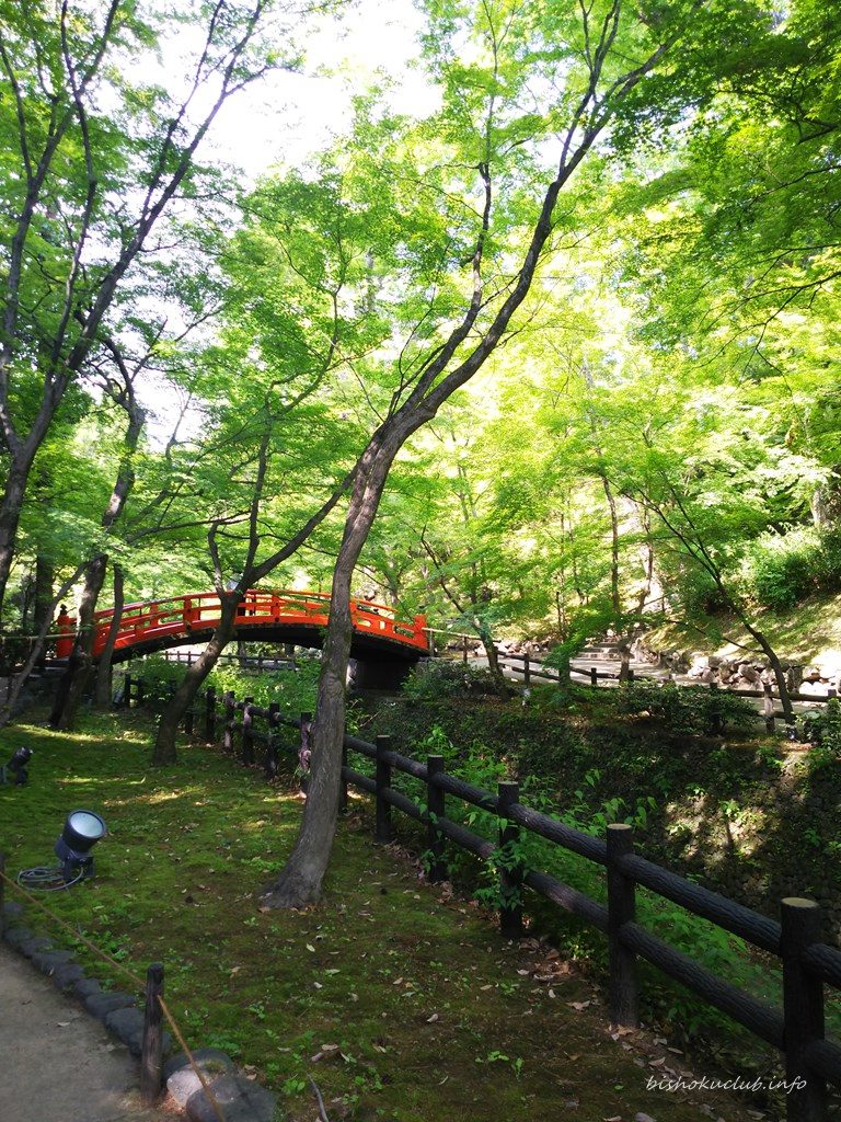 Kitano Tenmangu Shrine Historical Site Aoi Maple