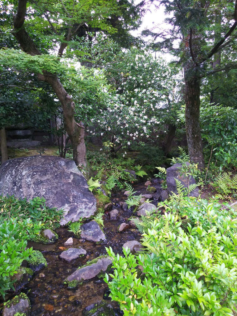『無鄰菴』のくちなしの花