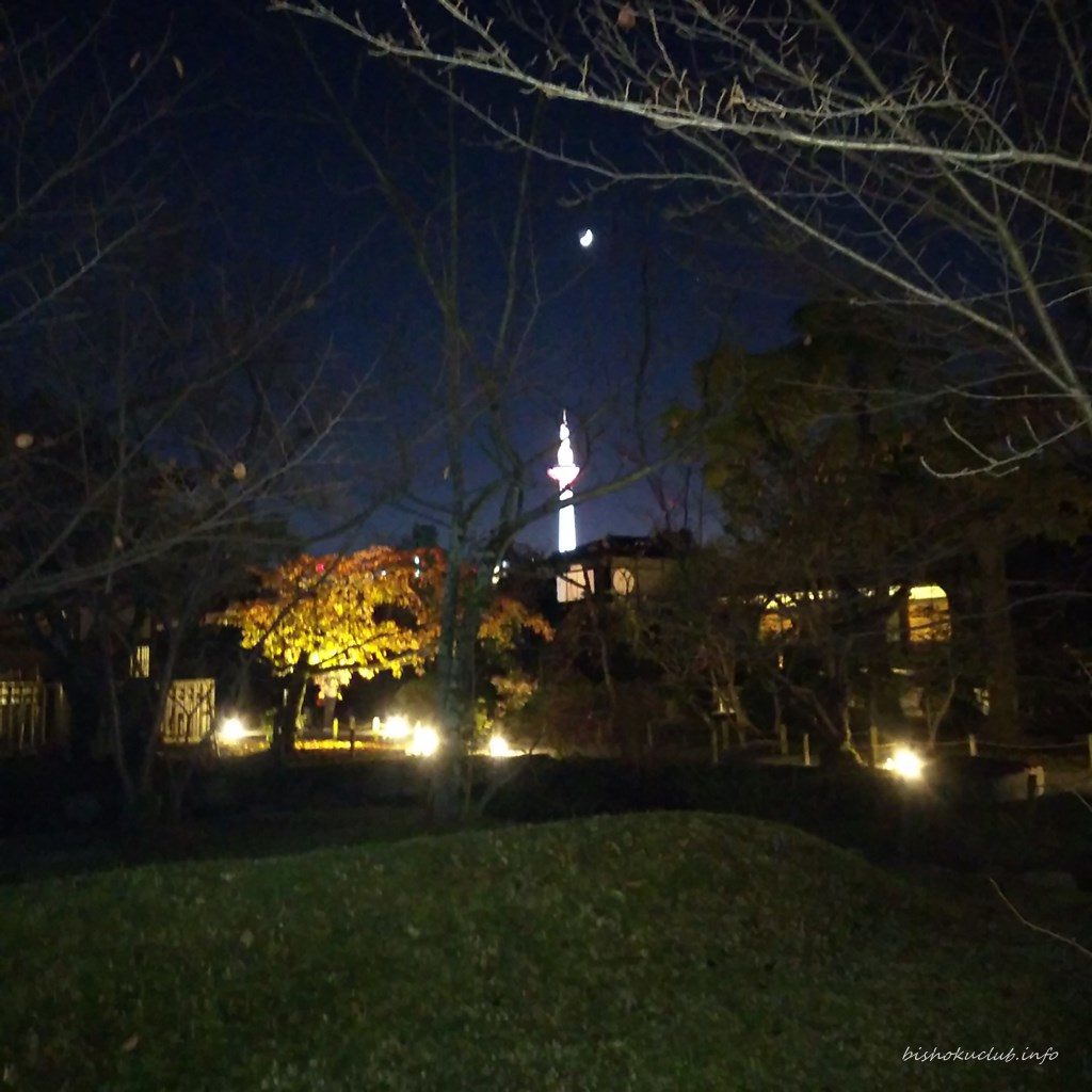 渉成園からの京都タワー